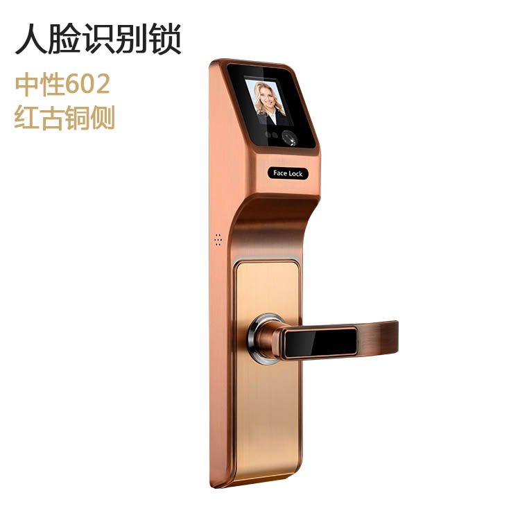 Face recognition fingerprint lock red bronze hr-602